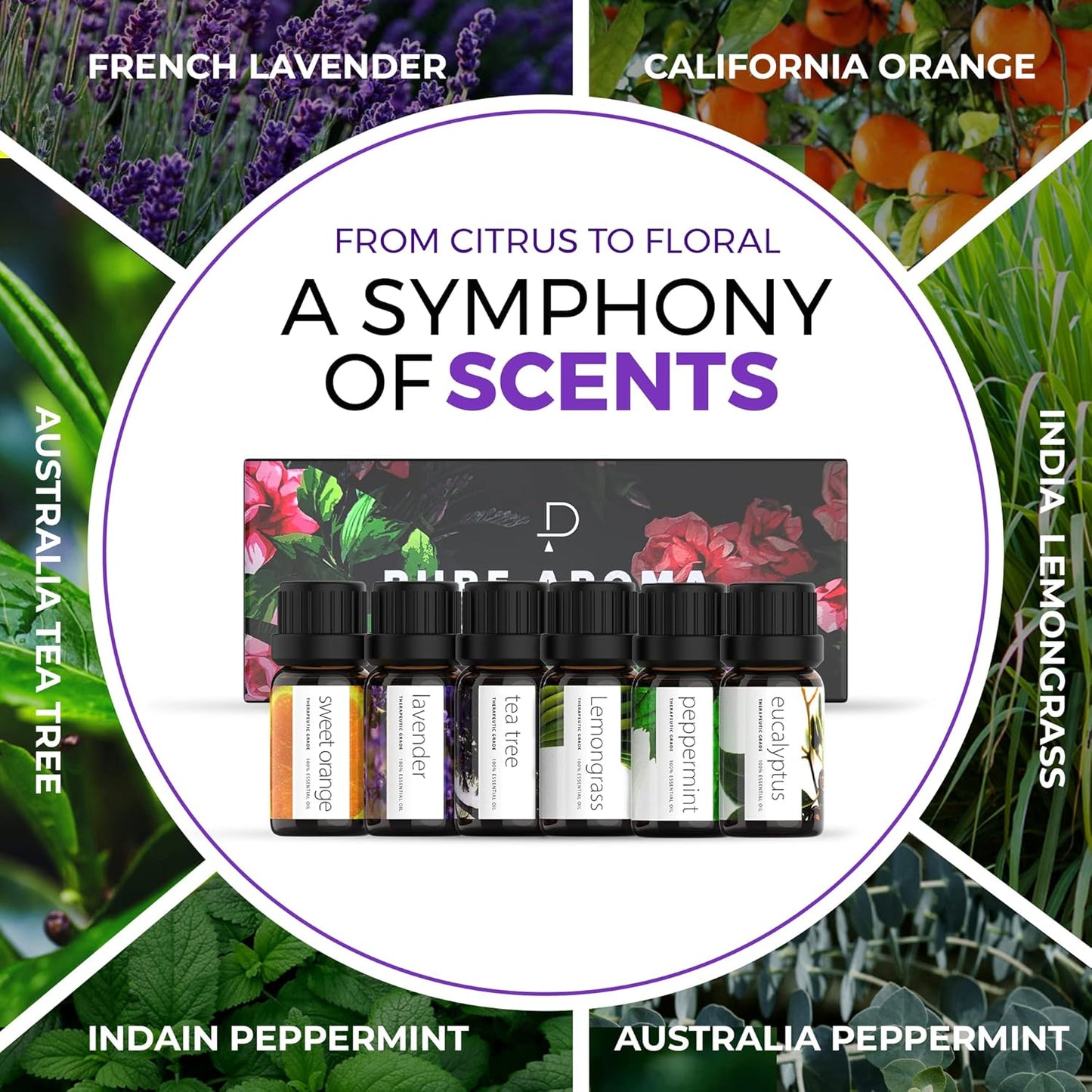 Pure Aroma Essential Oils 100% Therapeutic Grade Oils kit- Top 6 Aromatherapy Oils Gift Set-6 Pack, 10ML(Eucalyptus, Lavender, Lemon Grass, Orange, Peppermint, Tea Tree)