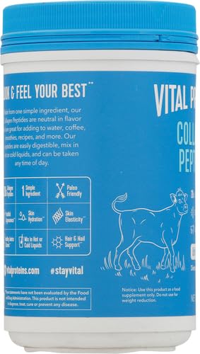 vital proteins collagen peptides powder